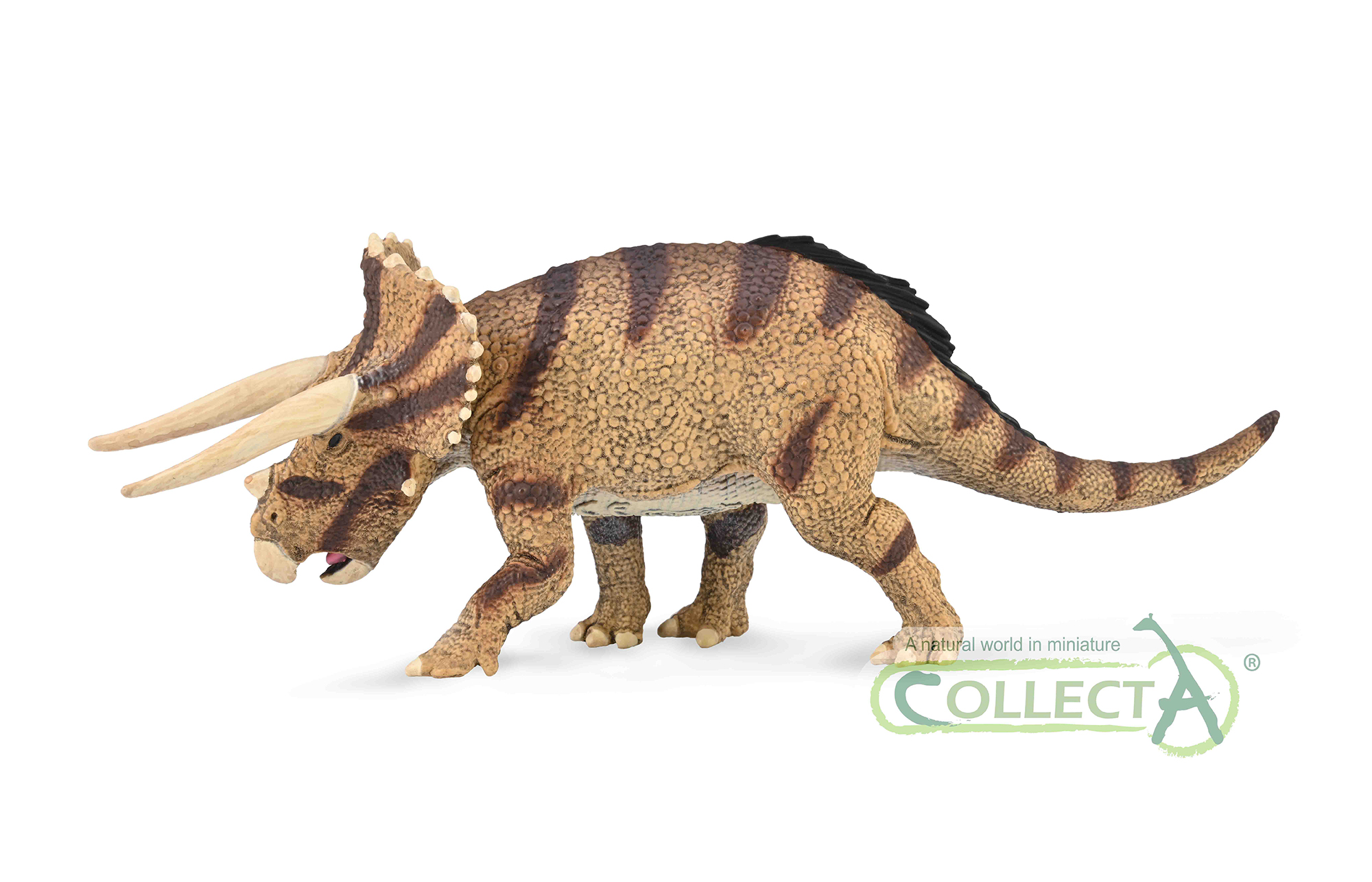 88969 Triceratops horridus - confronting