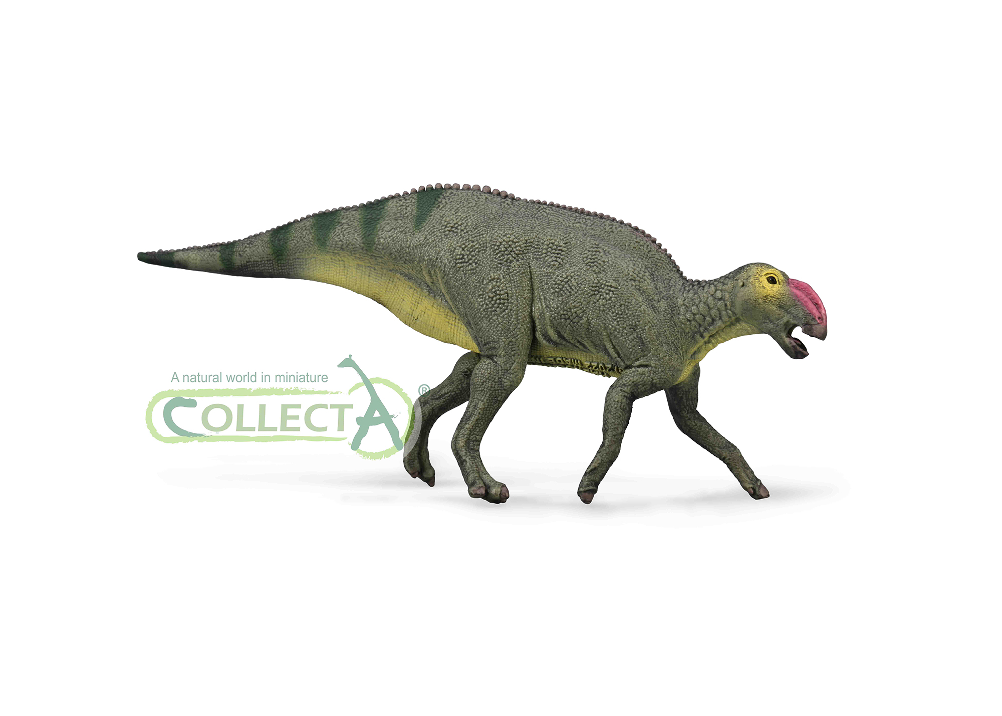 88970 Hadrosaurus