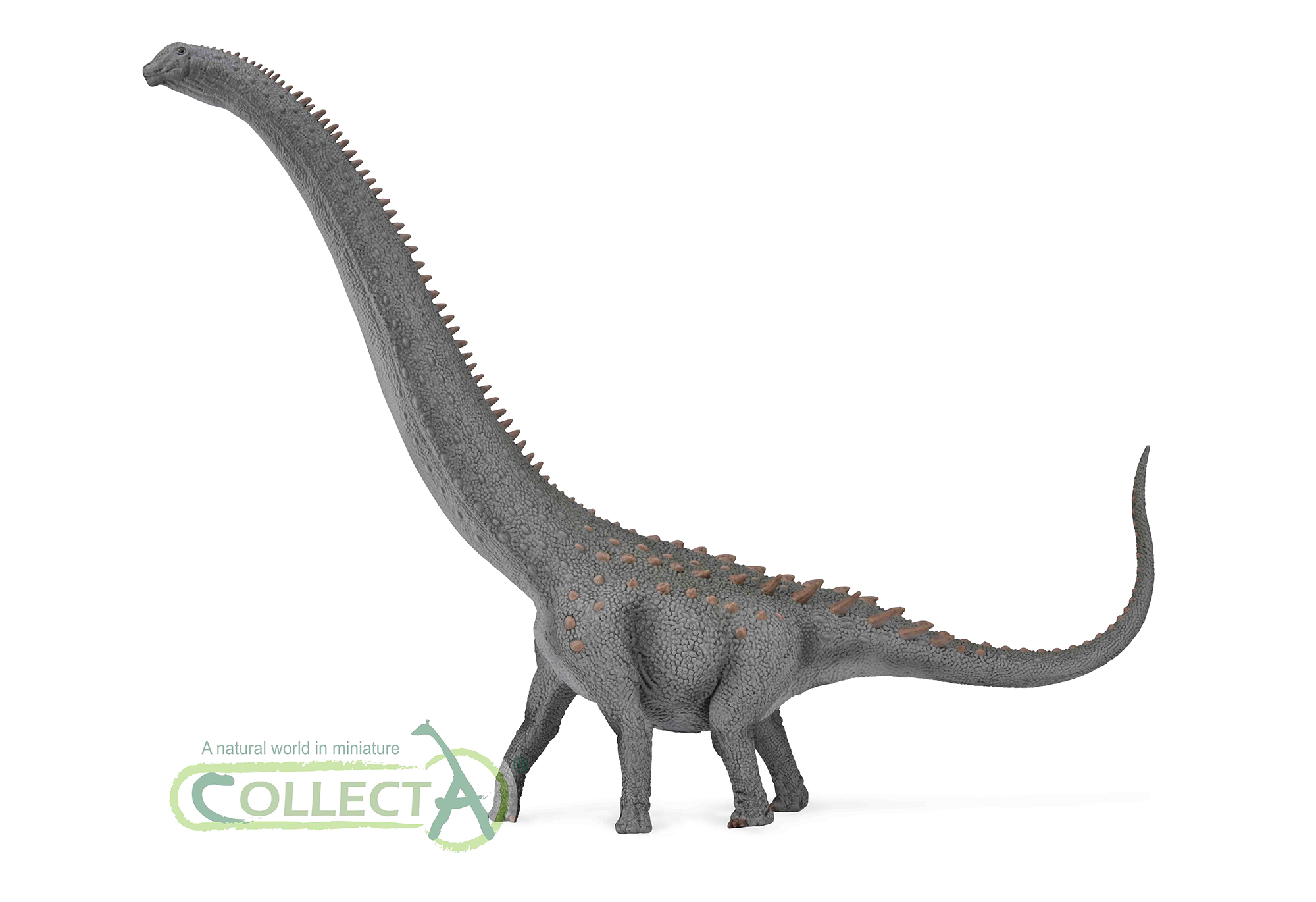 88971 Ruyangosaurus - Deluxe 1100 scale