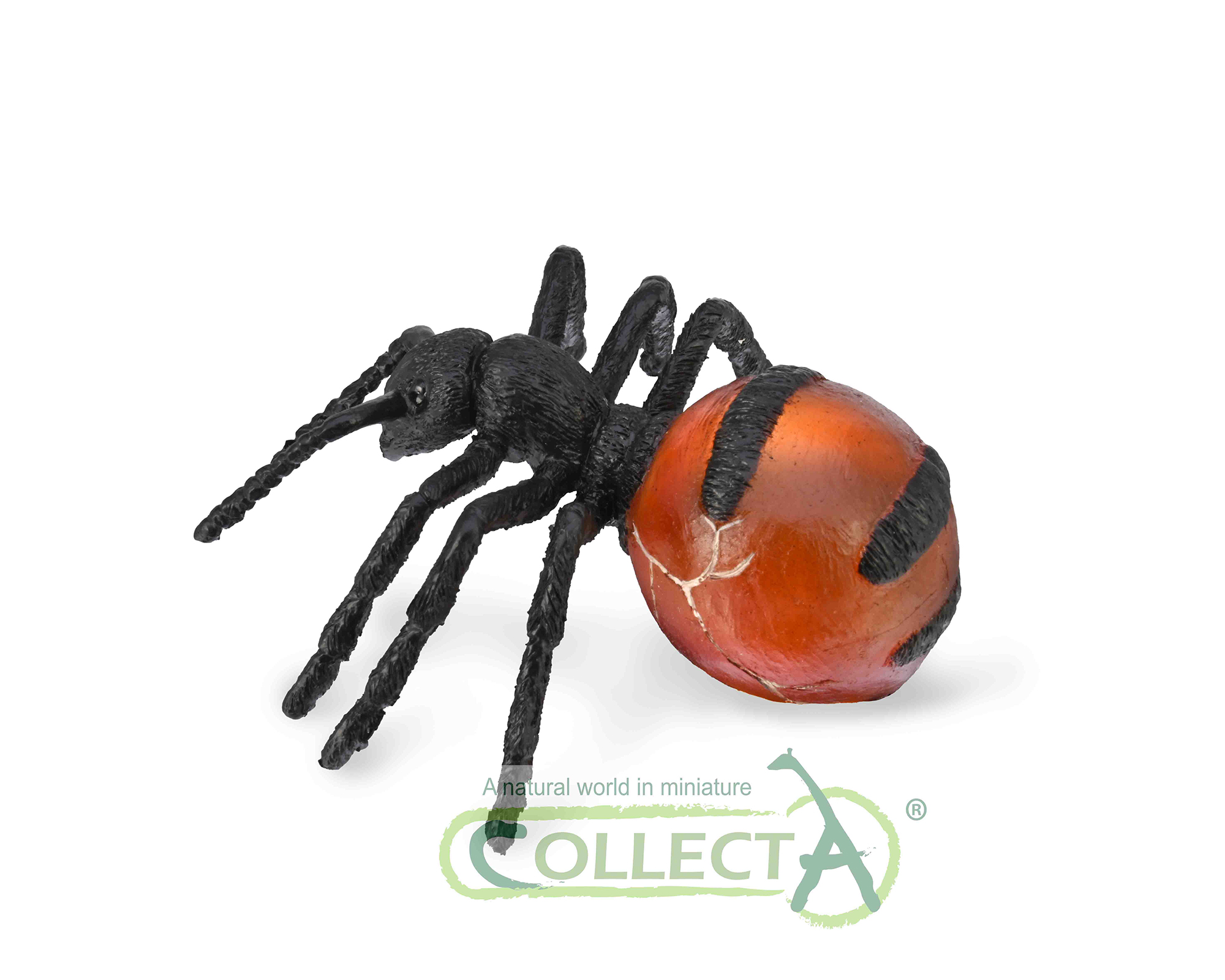 88990 Honeypot Ant