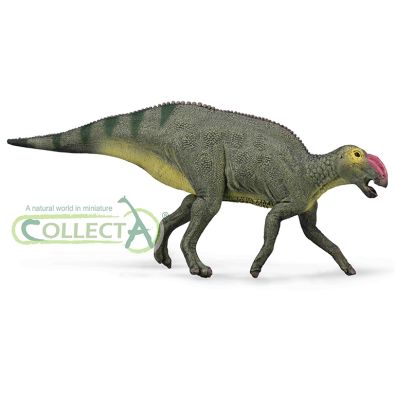 88970-hadrosaurus-768-x-7684F2A4F47-5CEE-B84B-3040-F33B686D29BE.jpg
