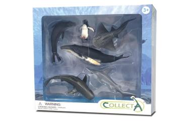6 ST MEERESLEBEN SET WINDOW BOX