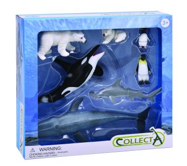 * 7 ST MEERESLEBEN SET WINDOW BOX