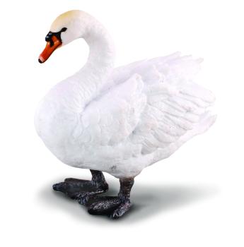 HÖCKERSCHWAN (M)