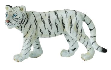 WEISSES TIGERJUNGES - GEHEND (M)