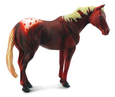 * APPALOOSA HENGST FUCHSFARBEN (XL)