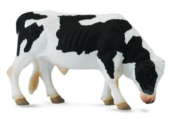 FRIESISCHER BULLE (L)