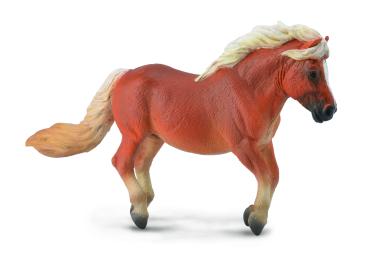 * SHETLAND PONY KASTANIENBRAUN (M)