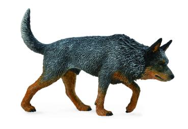 AUSTRALISCHER TREIBHUND (L)