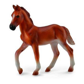 PERUVIAN PASO FOHLEN (M)
