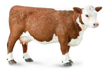HEREFORD-KUH (L)