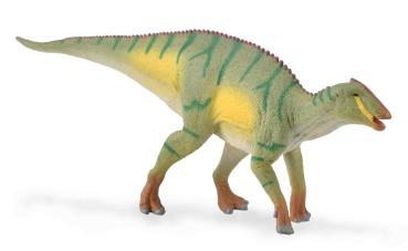 KAMUYSAURUS (M)