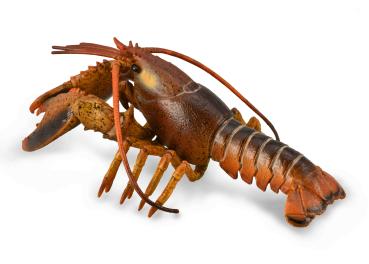 HUMMER - (DELUXE)
