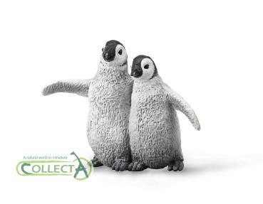 KAISERPINGUIN KUEKEN (M)