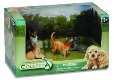 4 ST KATZEN SET OPEN BOX