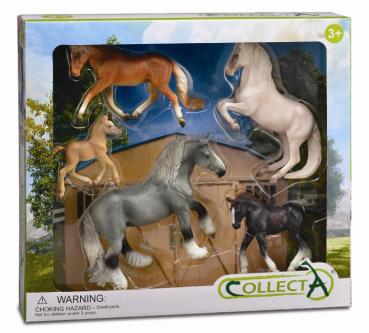 * 5 ST PFERDE LEBEN SET BOX