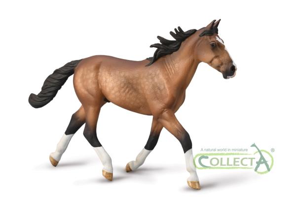 STANDARDBRED PACER STALLION - BAY