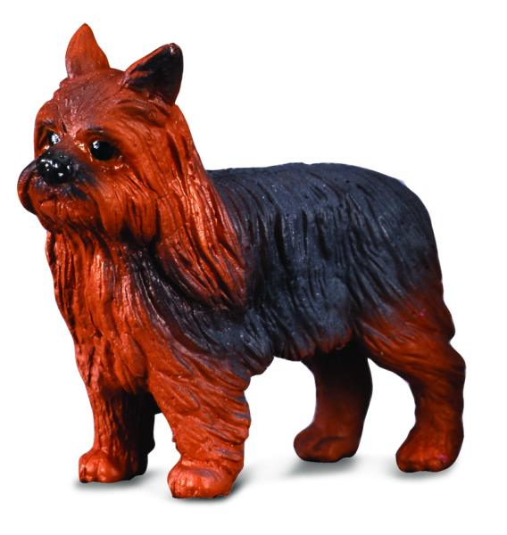 * YORKSHIRE TERRIER (S)