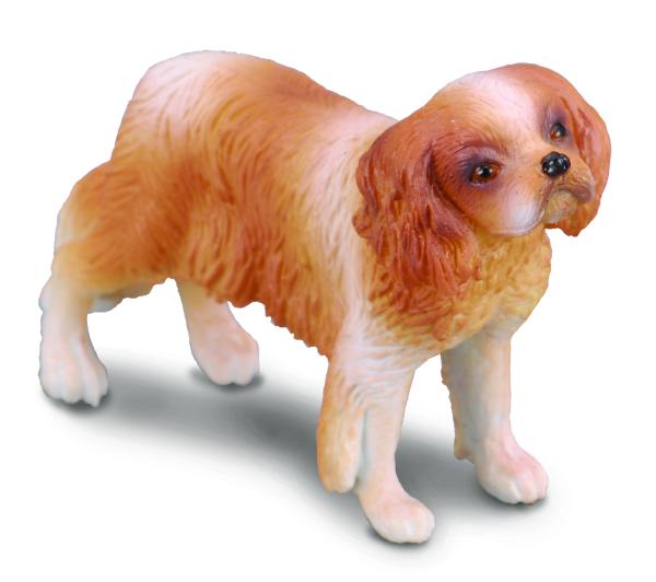 CAVALIER KING CHARLES SPANIEL