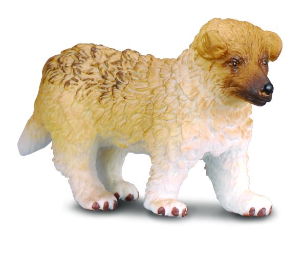 LANGHAAR-COLLIE - WELPE (S)