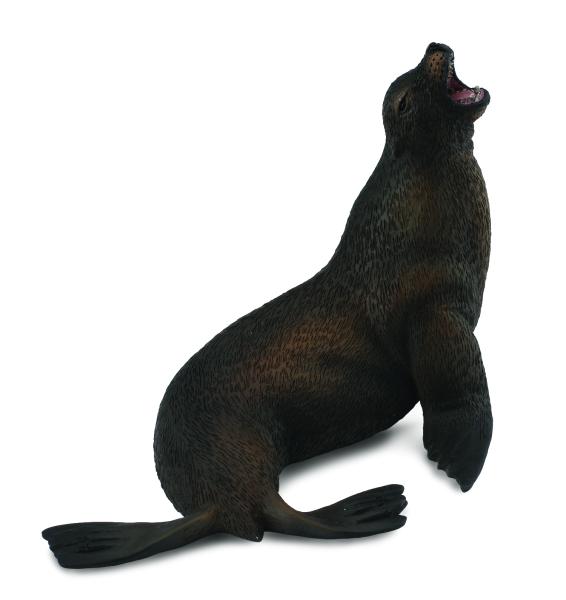 SEELÖWE (L)