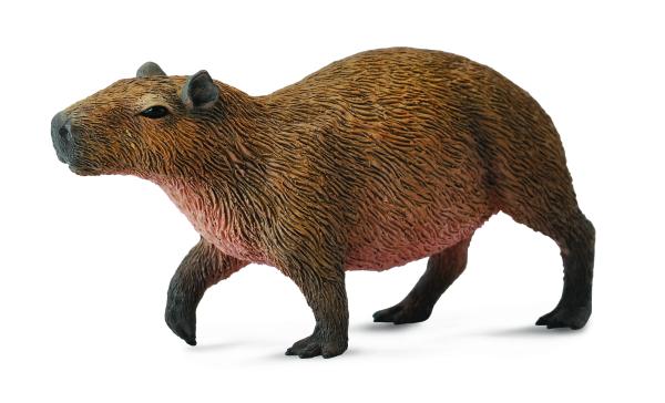 WASSERSCHWEIN (M)