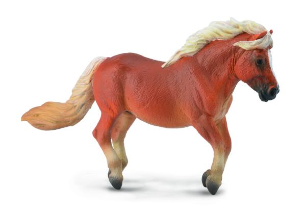 * SHETLAND PONY KASTANIENBRAUN (M)