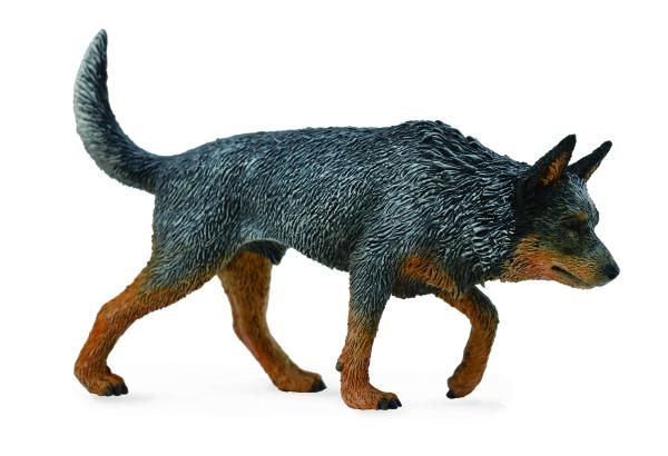 AUSTRALIAN CATTLE DOG