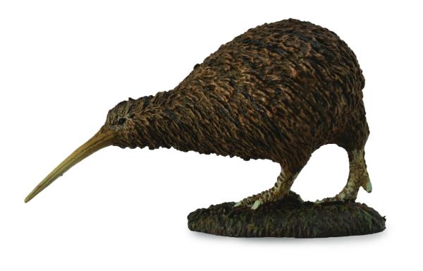 KIWI SCHNEPFENSTRAUSS (M)