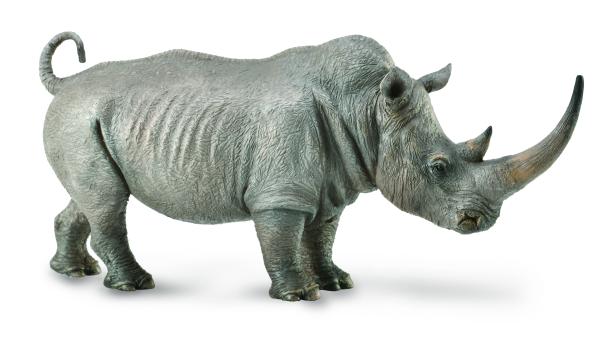 WHITE RHINOCEROS