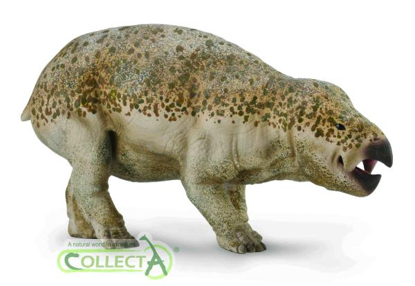 LISOWICIA BOJANI 1:20 (DELUXE)