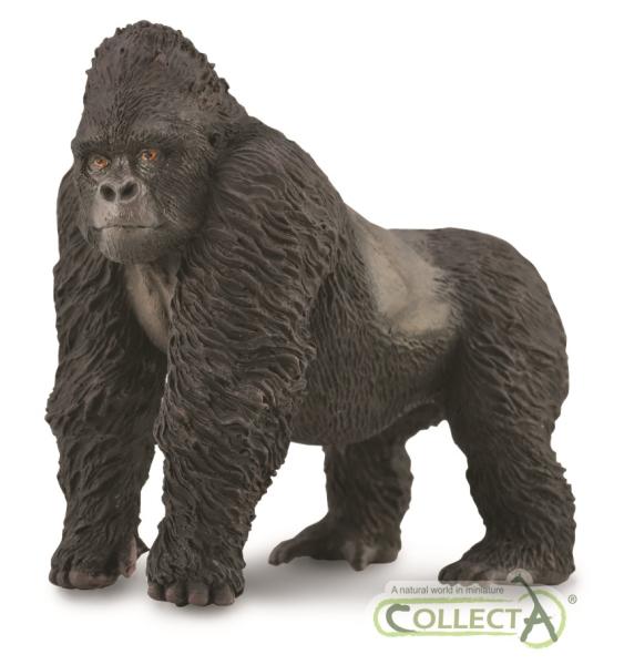 MOUNTAIN GORILLA