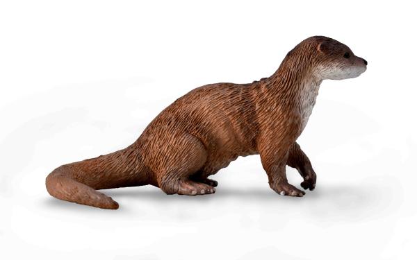 FISCHOTTER (M)