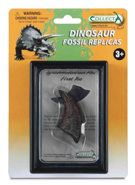 FIRST TOE OF TYRANNOSAURUS REX BOX SET