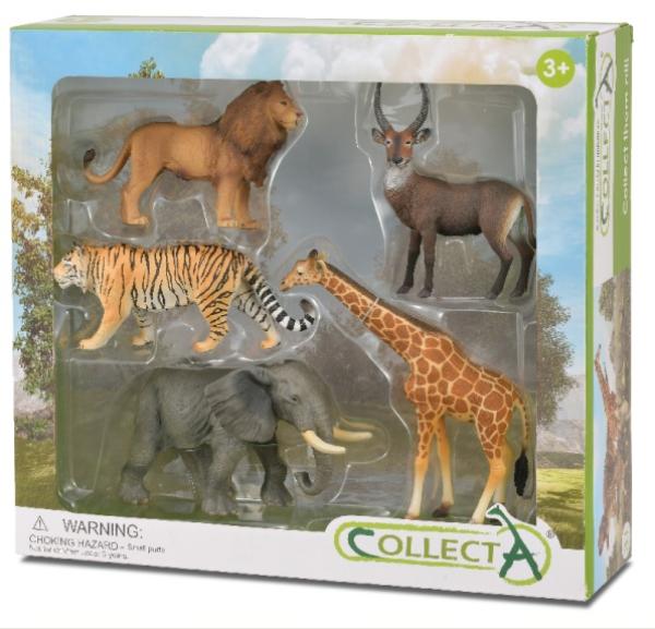 * 5 ST WILDLEBEN SET WINDOW BOX