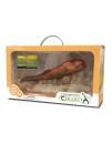 DUNKLEOSTEUS 1:20 DELUXE, WINDOW BOX