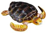 UNECHTE KARETTSCHILDKRÖTE (M)