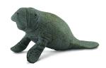 MANATEE CALF - SITTING