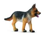 DEUTSCHER SCHÄFERHUND - WELPE (S)