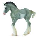 CLYDESDALE FOAL BLACK SABINO ROAN