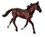 STANDARDBRED PACER STALLION - CHESTNUT
