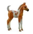 PINTO FOAL STANDING -PALOMINO