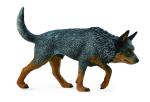 AUSTRALISCHER TREIBHUND (L)