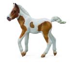 DARTMOOR HILL FOAL – SKEWBALD