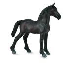 FRIESIAN FOAL - BLACK