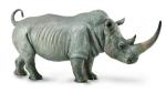 WHITE RHINOCEROS