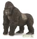 MOUNTAIN GORILLA