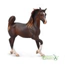 ARABIAN MARE LIVER CHESTNUT