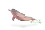 AMAZON RIVER DOLPHIN (M)