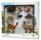 * 8 ST WALDLEBEN SET WINDOW BOX